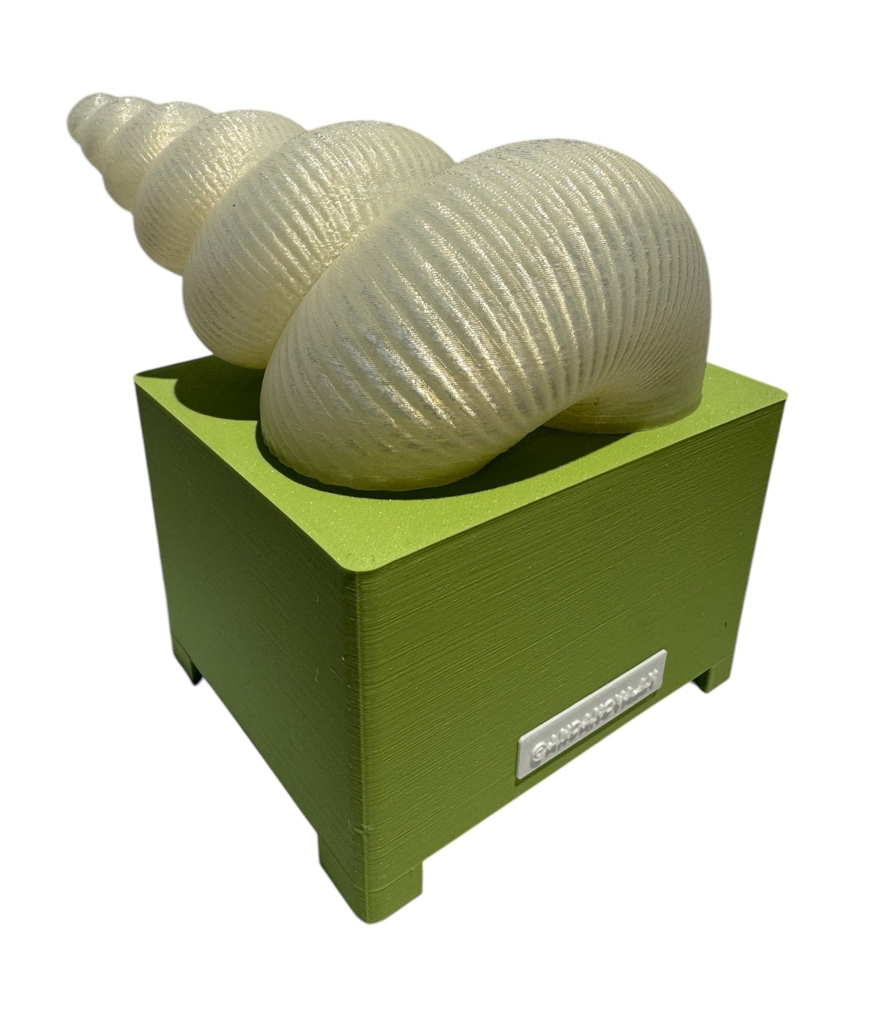 Lampara Espiral Caracol S Andanova