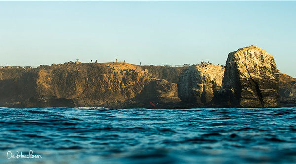 Protejamos juntos nuestro santuario natural del surf - Fundación Punta de Lobos - El Ruco Surf Shop