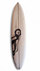 Tabla de Surf Delma Album
