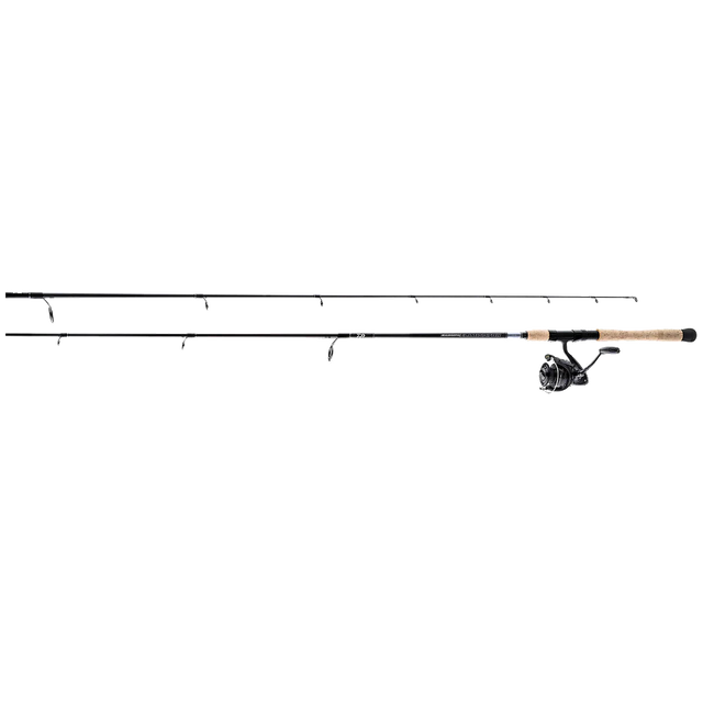Kit Daiwa Eliminator SW 4000 / 2,13Mt