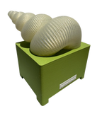 Lampara Espiral Caracol S Andanova