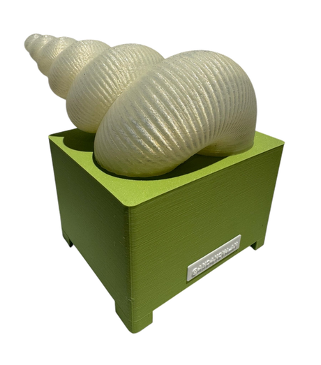 Lampara Espiral Caracol S Andanova