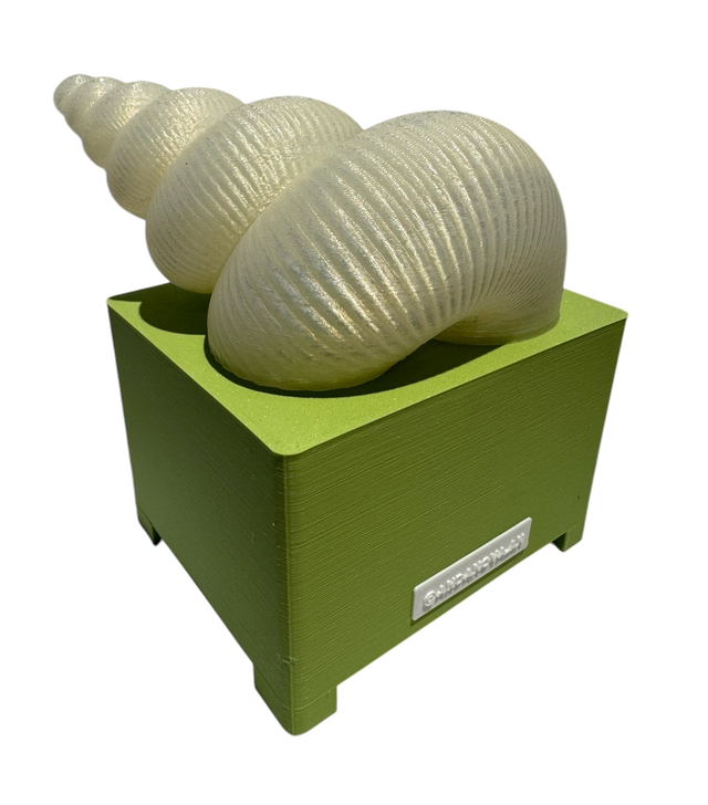 Lampara Espiral Caracol S Andanova