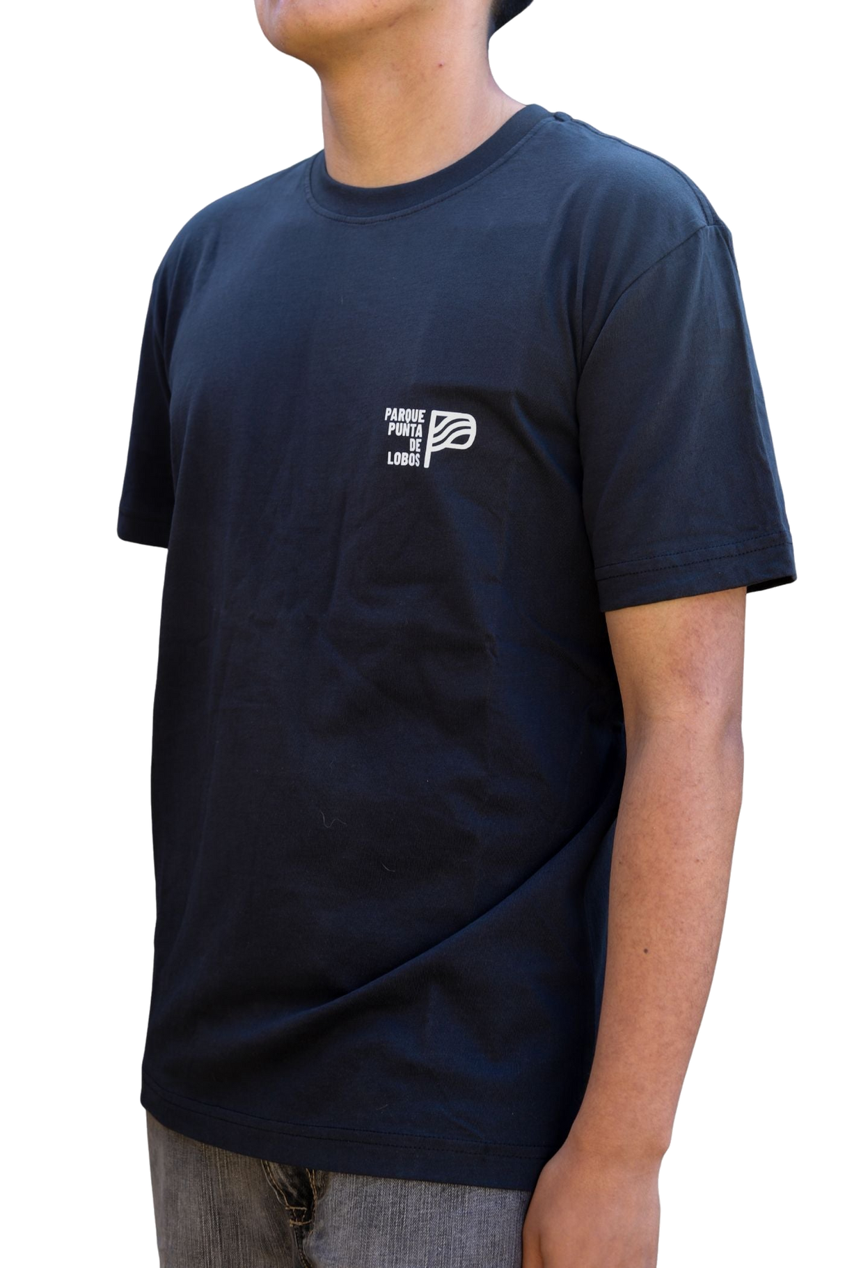 Polera Manga Corta Negra Punta de Lobos