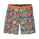 Traje de baño Hombre Wavefarer® Boardshorts 19" Patagonia