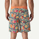 Traje de baño Hombre Wavefarer® Boardshorts 19" Patagonia