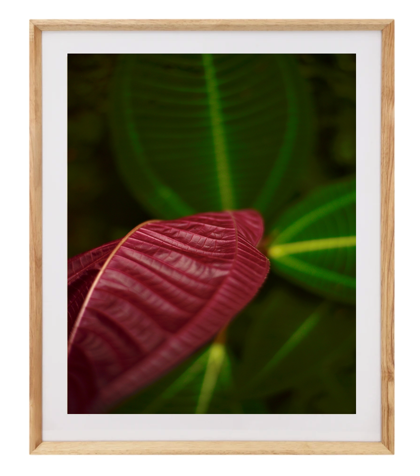Cuadro Foto 30 x 40