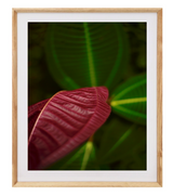 Cuadro Foto 30 x 40