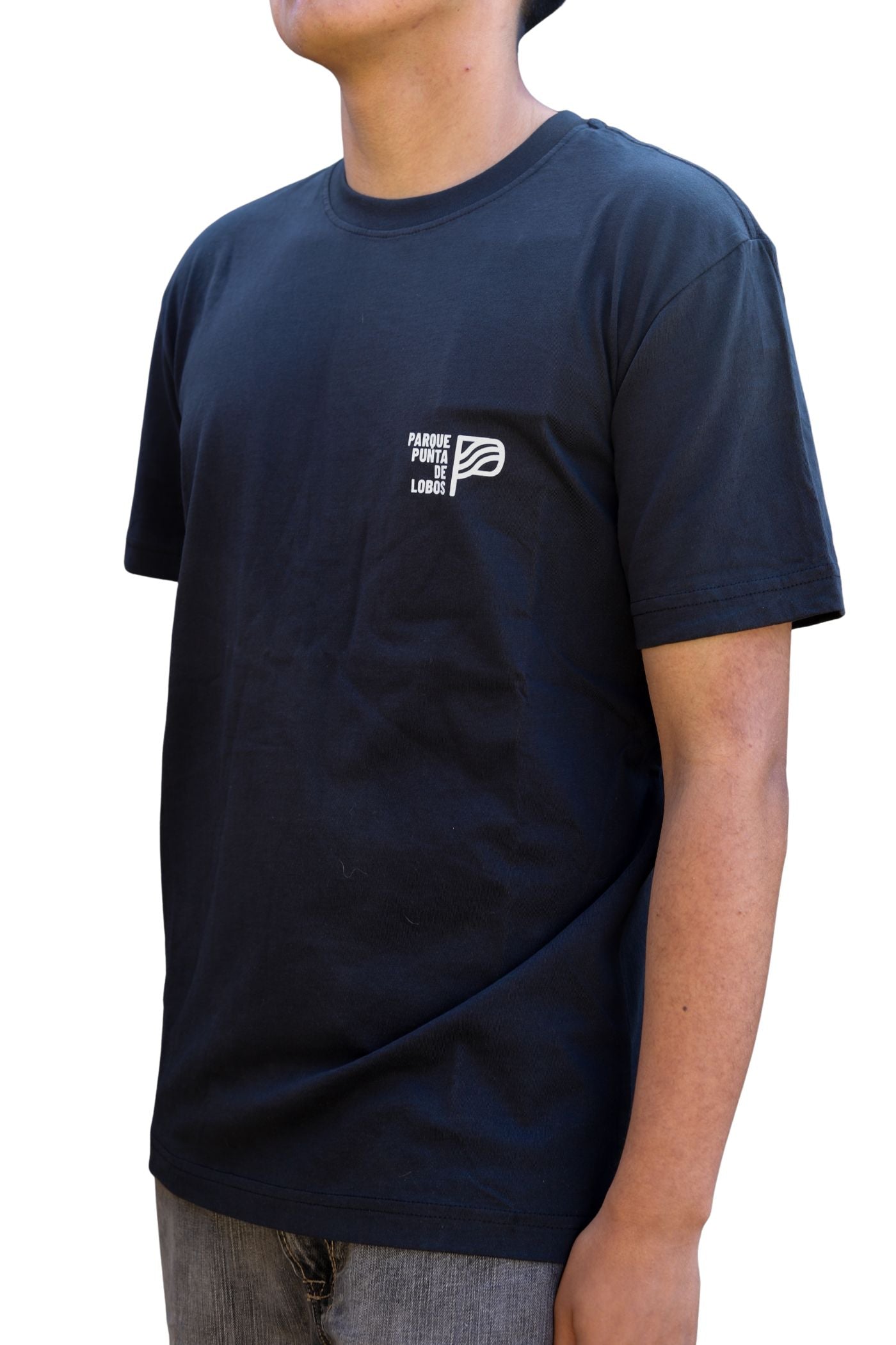 Polera Manga Corta Negra Punta de Lobos