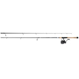 Kit Daiwa Eliminator SW 4000 / 2,13Mt