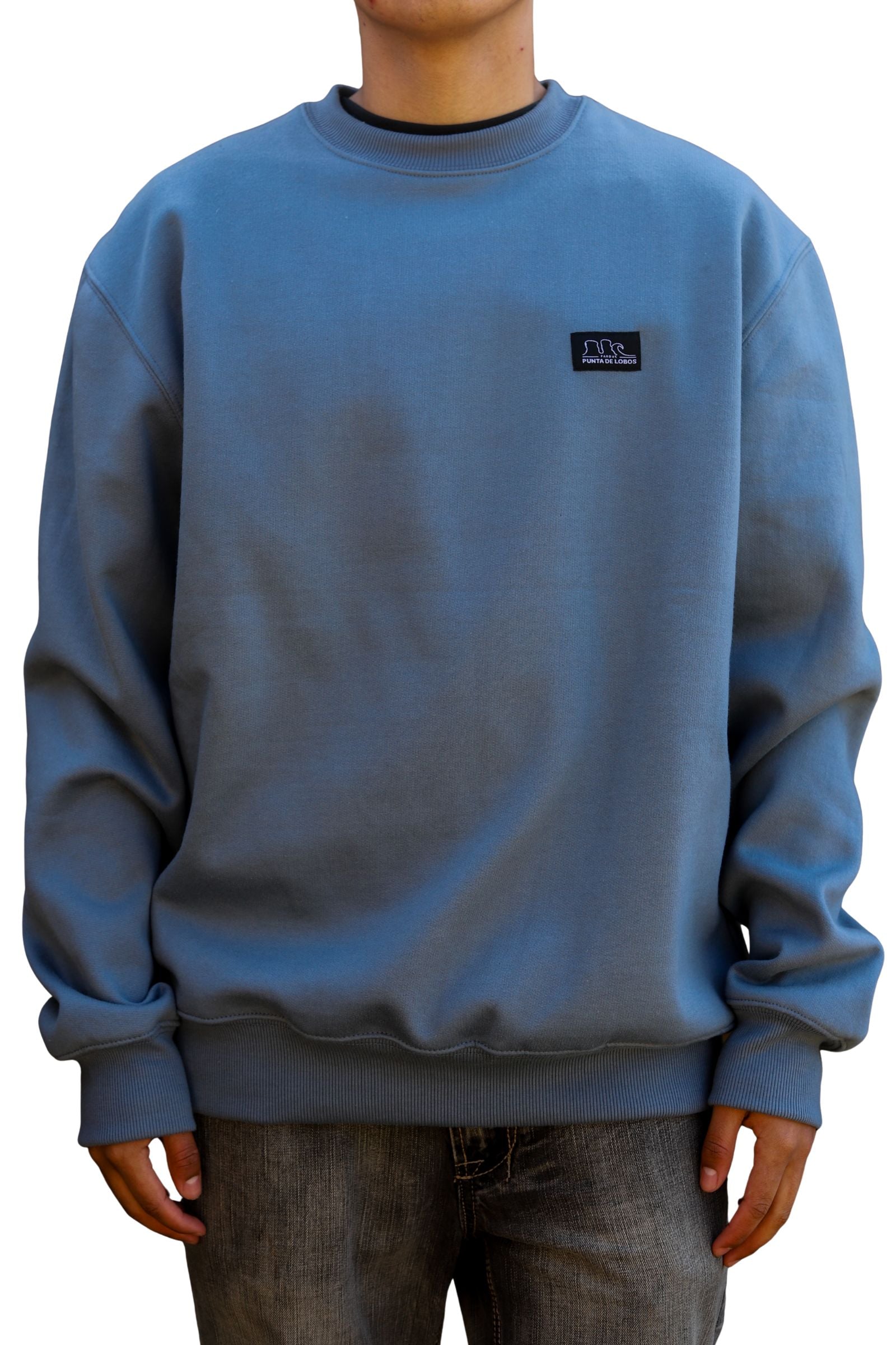 Polerón Punta de Lobos